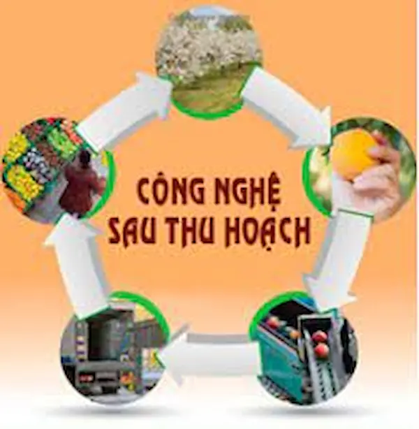 Điểm chuẩn ngành công nghệ sau thu hoạch