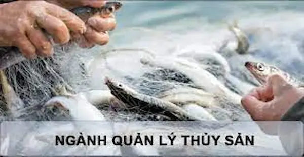 Quản lý thủy sản- Ngành học mới với nhiều cơ hội rộng mở