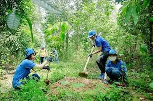 Sau khi tốt nghiệp ngành Lâm sinh, sinh viên có thể đảm nhận được nhiều vị trí việc làm khác nhau